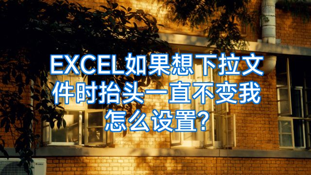 EXCEL如果想下拉文件时抬头一直不变我怎么设置?
