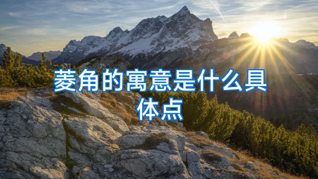 菱角的寓意是什么具体点