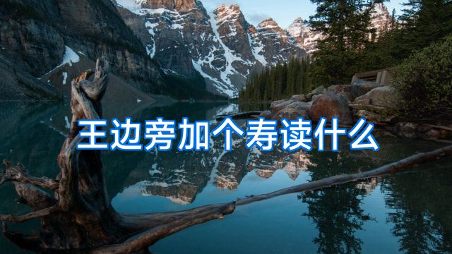 王边旁加个寿读什么