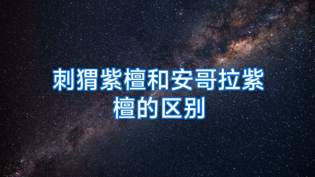 刺猬紫檀和安哥拉紫檀的区别