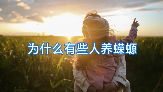 为什么有些人养蝾螈