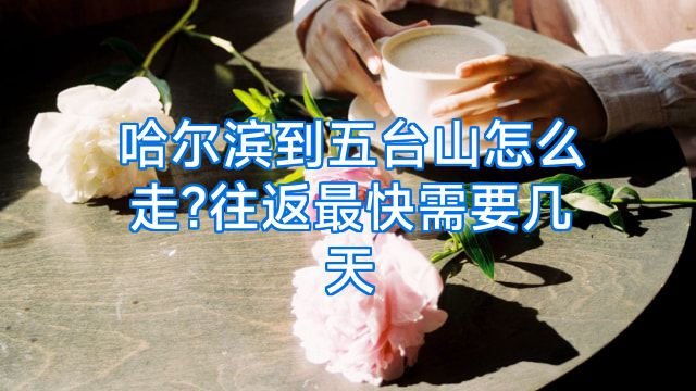 哈尔滨到五台山怎么走?往返最快需要几天