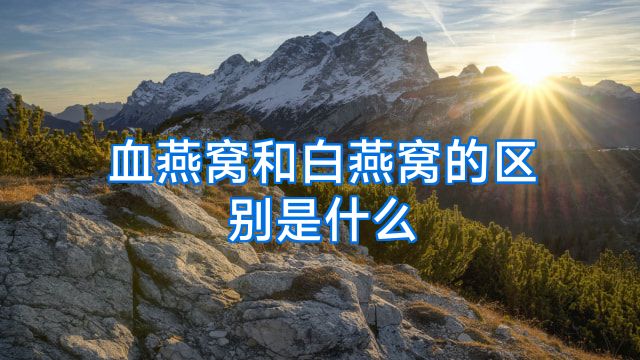 血燕窝和白燕窝的区别是什么