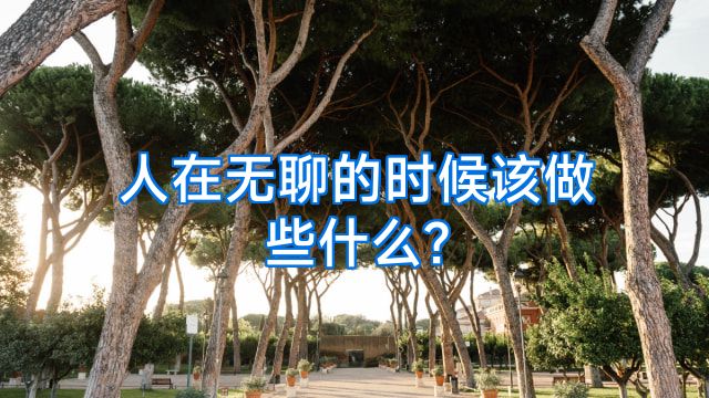 人在无聊的时候该做些什么?
