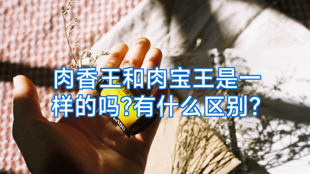 肉香王和肉宝王是一样的吗?有什么区别?