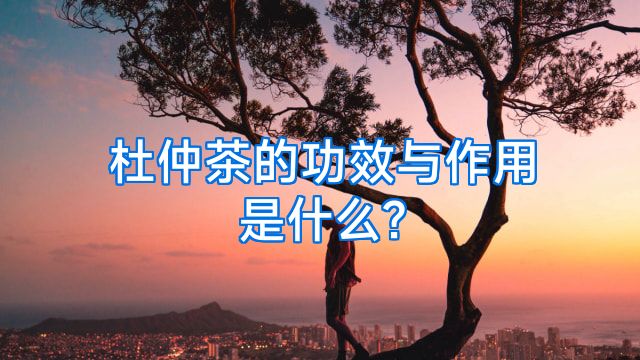 杜仲茶的功效与作用是什么?