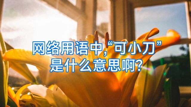 网络用语中,“可小刀”是什么意思啊?