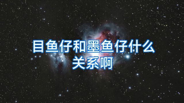 目鱼仔和墨鱼仔什么关系啊