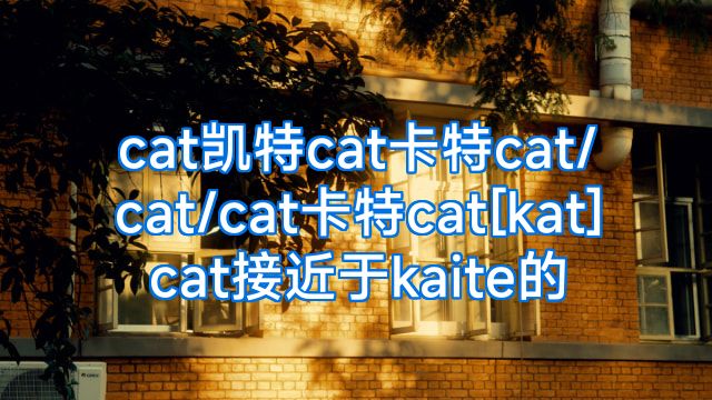 cat凯特cat卡特cat/cat/cat卡特cat[kat]cat接近于kaite的