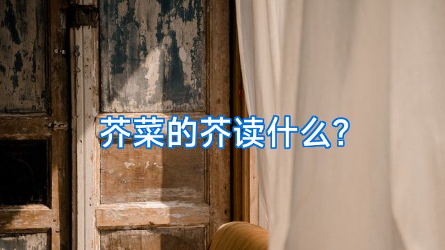 芥菜的芥读什么?