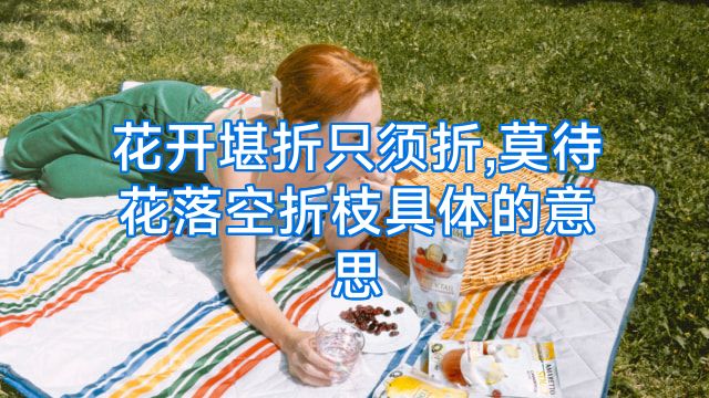 花开堪折只须折,莫待花落空折枝具体的意思