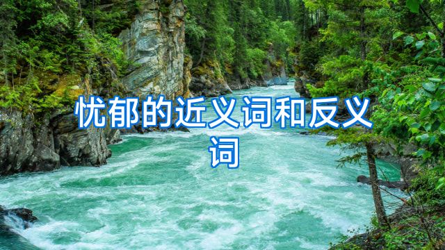 忧郁的近义词和反义词