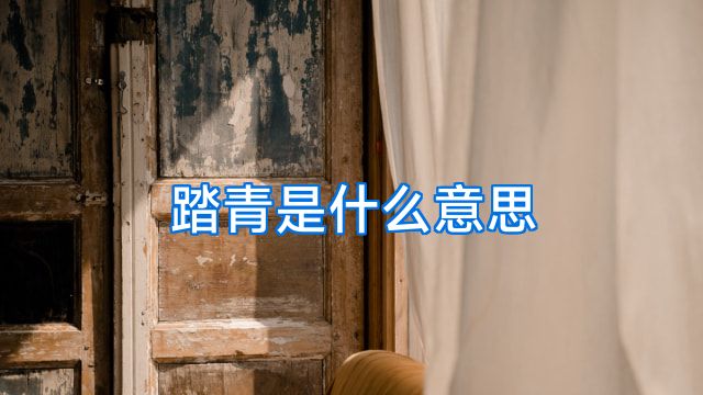 踏青是什么意思