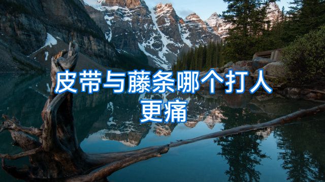 皮带与藤条哪个打人更痛