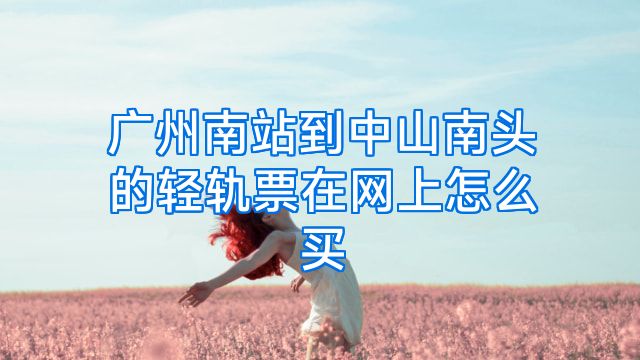 广州南站到中山南头的轻轨票在网上怎么买