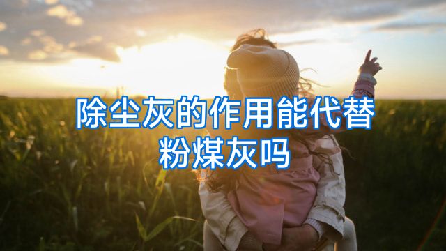 除尘灰的作用能代替粉煤灰吗