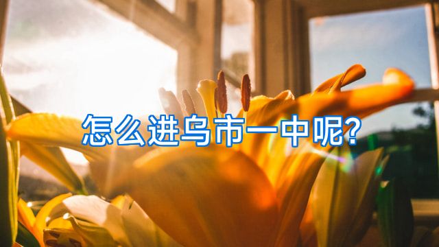 怎么进乌市一中呢?