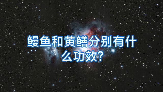 鳗鱼和黄鳝分别有什么功效?