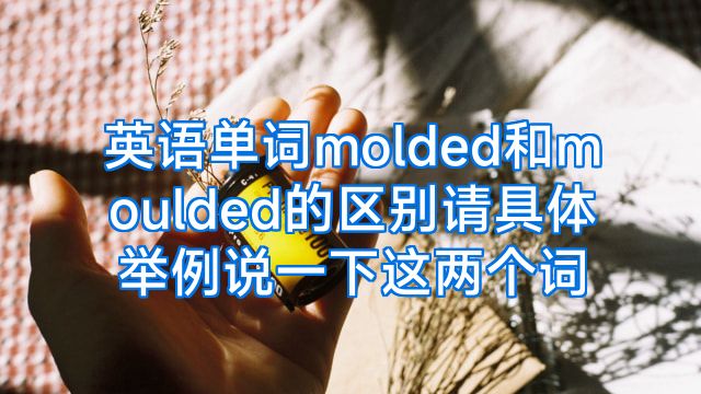 英语单词molded和moulded的区别请具体举例说一下这两个词