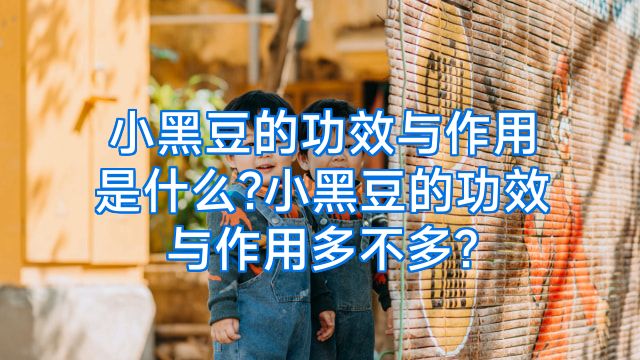 小黑豆的功效与作用是什么?小黑豆的功效与作用多不多?