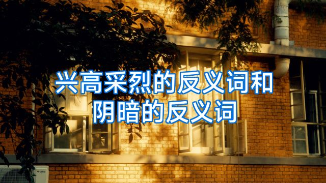 兴高采烈的反义词和阴暗的反义词
