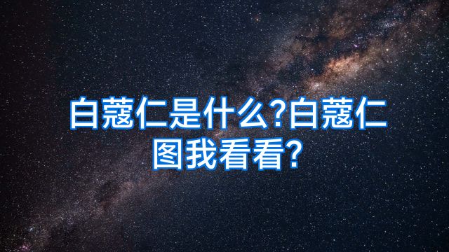白蔻仁是什么?白蔻仁图我看看?