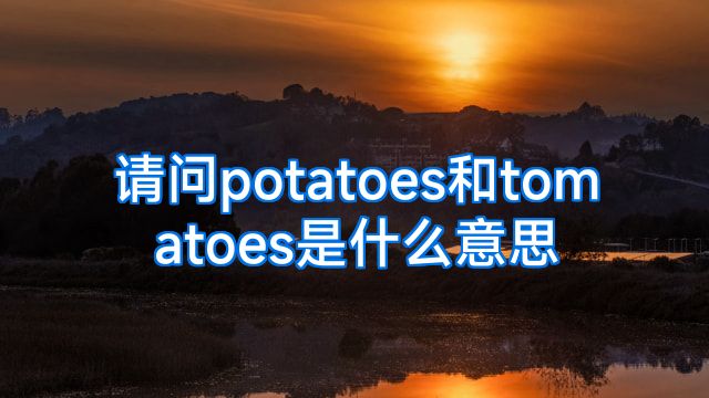 请问potatoes和tomatoes是什么意思