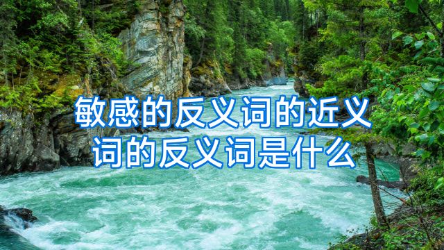 敏感的反义词的近义词的反义词是什么