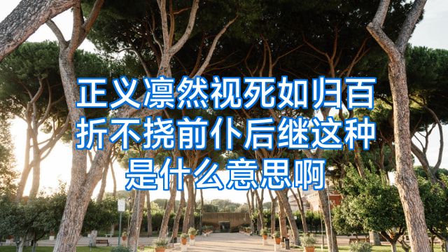 正义凛然视死如归百折不挠前仆后继这种是什么意思啊