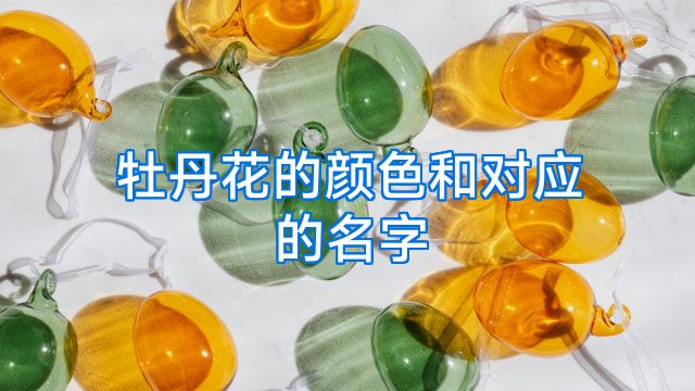 牡丹花的颜色和对应的名字