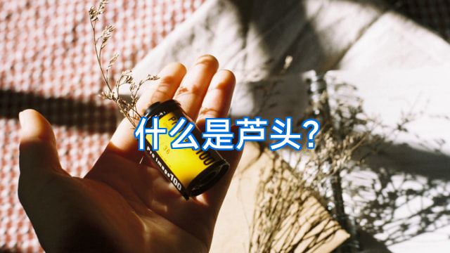 什么是芦头?