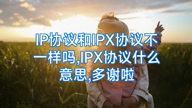 IP协议和IPX协议不一样吗,IPX协议什么意思,多谢啦