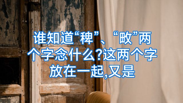 谁知道“稗”、“畋”两个字念什么?这两个字放在一起,又是