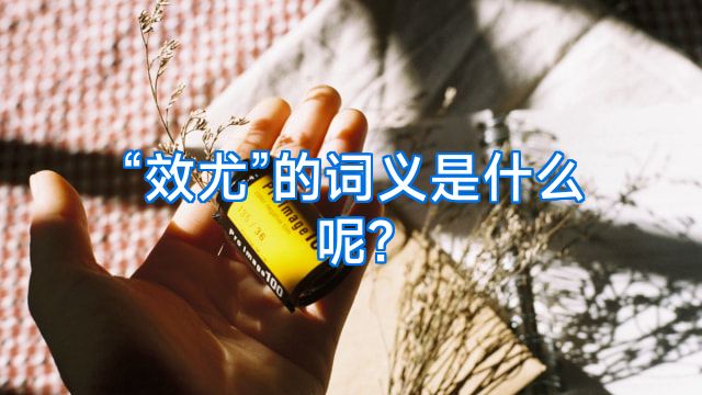 “效尤”的词义是什么呢?