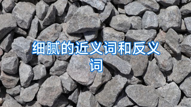 细腻的近义词和反义词