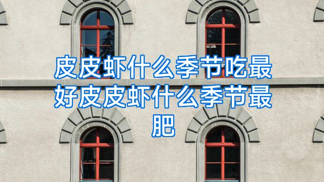皮皮虾什么季节吃最好皮皮虾什么季节最肥