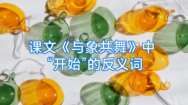 课文《与象共舞》中“开始”的反义词