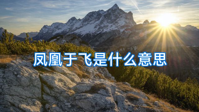 凤凰于飞是什么意思