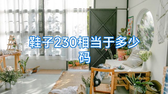 鞋子230相当于多少码