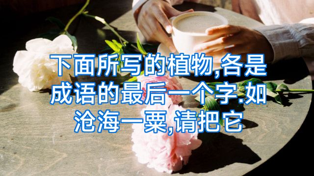 下面所写的植物,各是成语的最后一个字.如沧海一粟,请把它