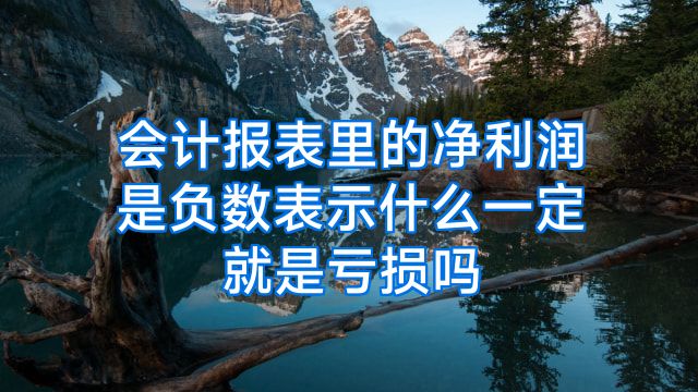 会计报表里的净利润是负数表示什么一定就是亏损吗