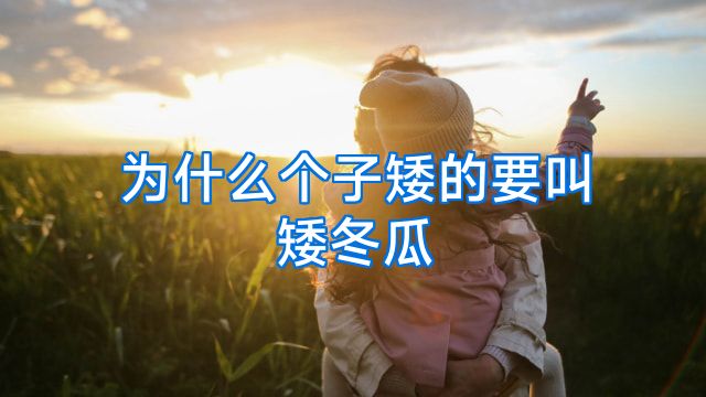 为什么个子矮的要叫矮冬瓜