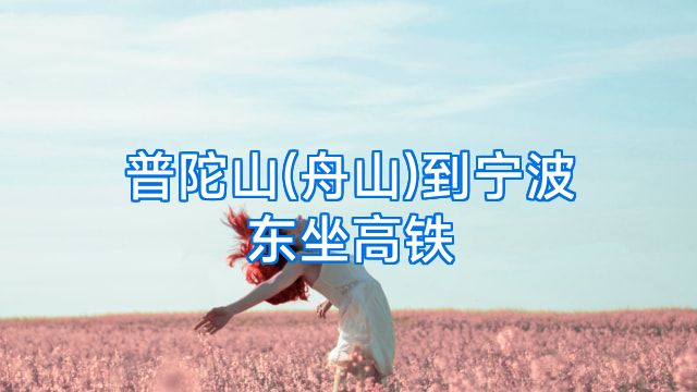 普陀山(舟山)到宁波东坐高铁