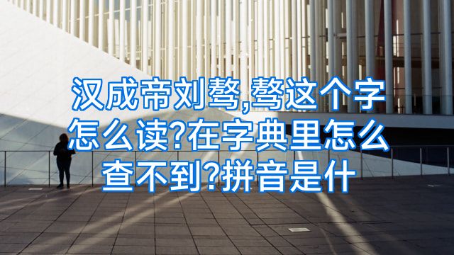 汉成帝刘骜,骜这个字怎么读?在字典里怎么查不到?拼音是什