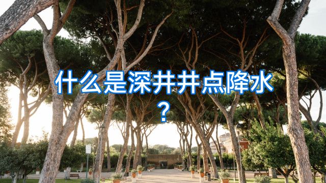 什么是深井井点降水?