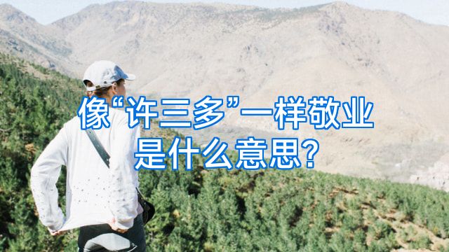 像“许三多”一样敬业是什么意思?