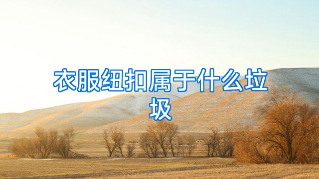 衣服纽扣属于什么垃圾