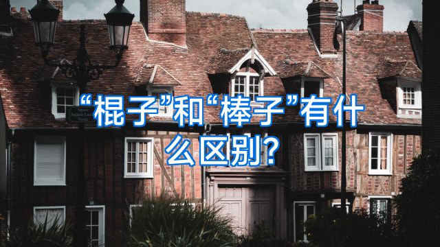 “棍子”和“棒子”有什么区别?