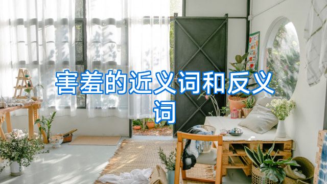 害羞的近义词和反义词