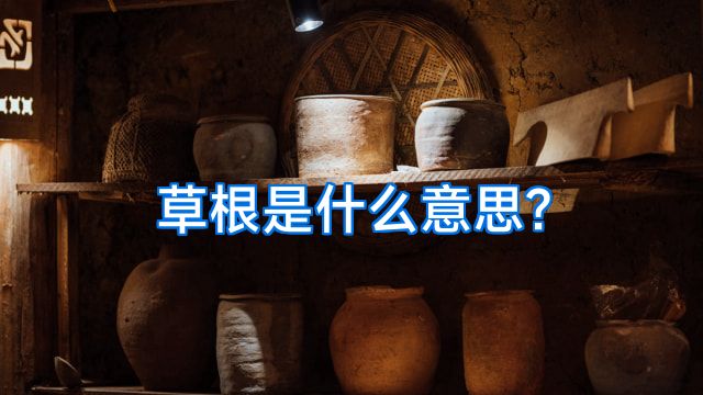 草根是什么意思?